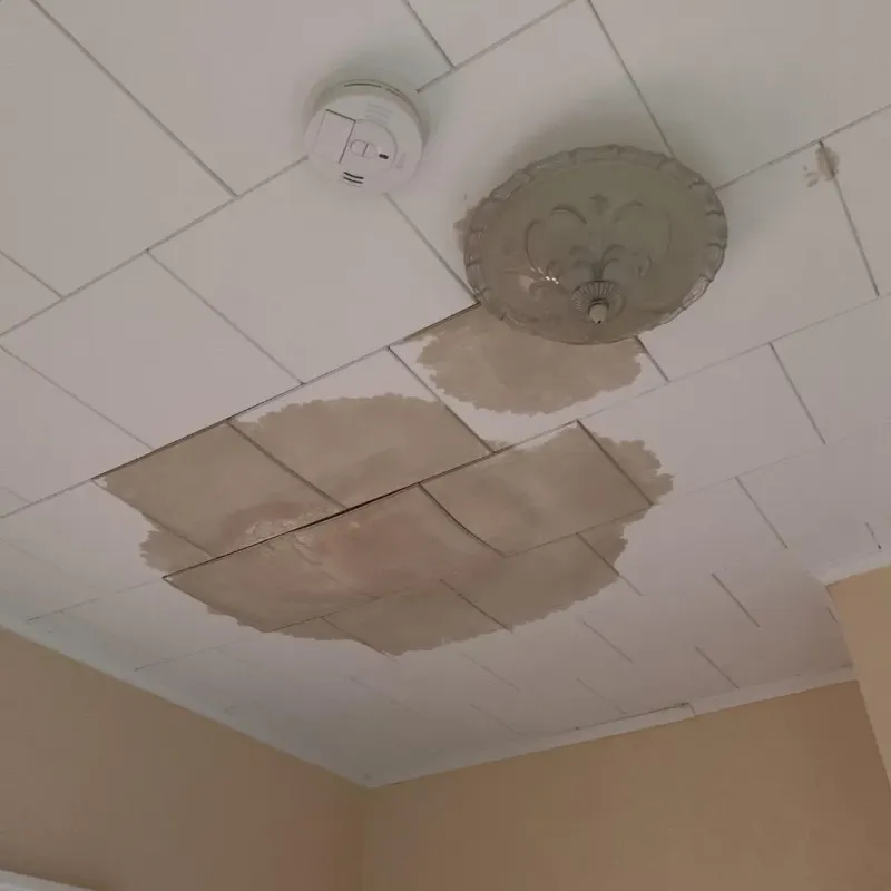 Ceiling Water Damage Repair in Newell, WV