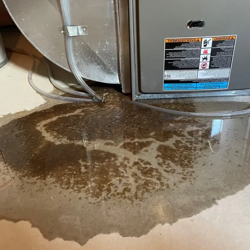 Pipe Burst and Leak Restoration in Newell, WV