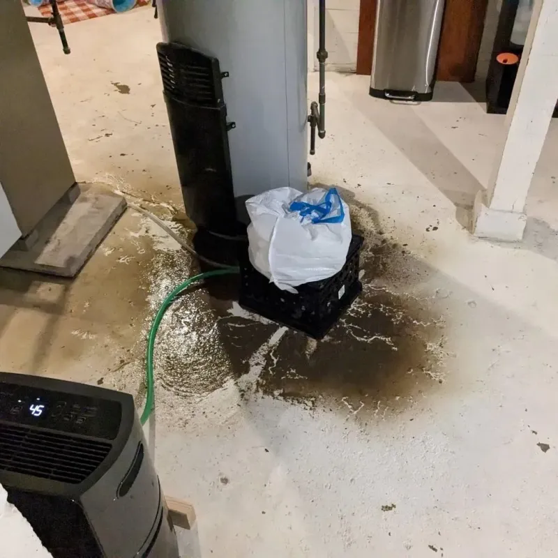 Sewage Backup Cleanup Service in Newell, WV